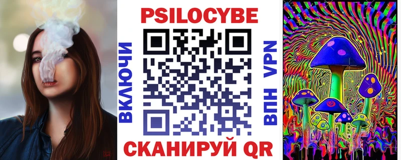 Галлюциногенные грибы Psilocybe Бакал